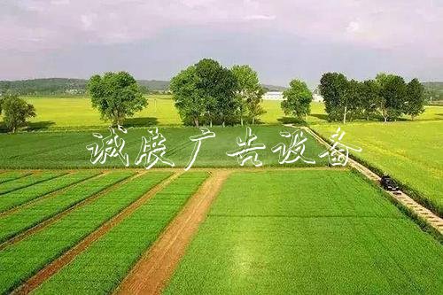 為什么農(nóng)村出現(xiàn)了種植文化宣傳欄大戶“退租”增多的現(xiàn)象